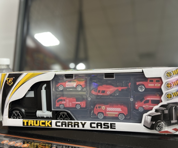 Truck carry case